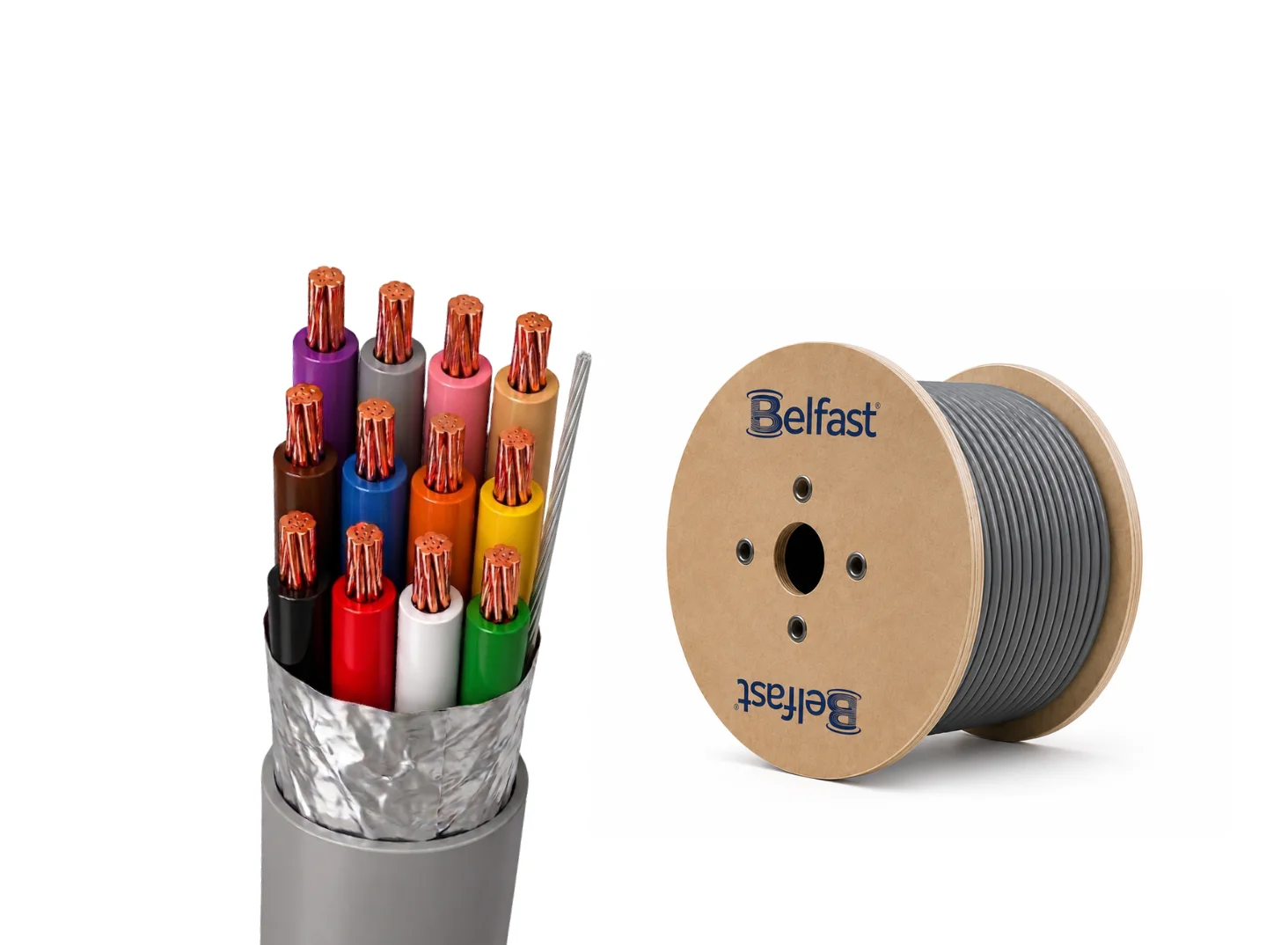 BCS4462  Building Management System Belfast Cables