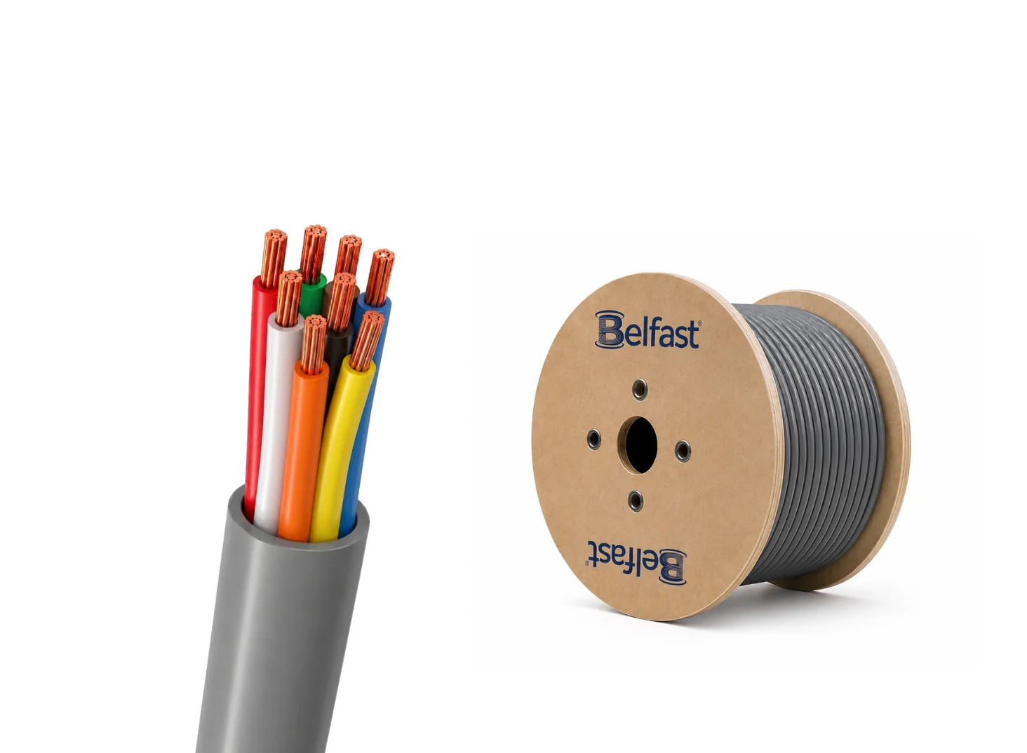 BCS1233 BCS18448 Building Management System Belfast Cables